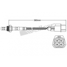 250-24434 WALKER Лямбда-зонд
