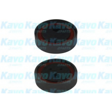 DTE-5540 KAVO PARTS Натяжной ролик, ремень ГРМ