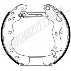 6301 TRUSTING Комплект тормозных колодок