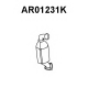 AR01231K