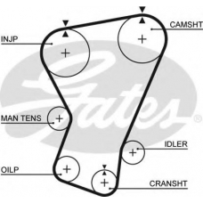 5065 GATES Ремень ГРМ