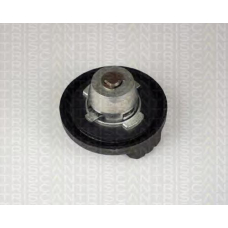 8800 4032 TRIDON Petrol cap