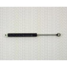 8710 11203 TRIDON Gas spring rear