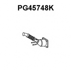 PG45748K VENEPORTE Катализатор