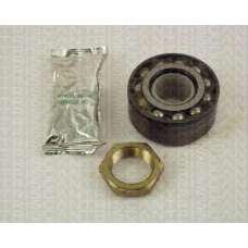 8530 38202 TRIDON Wheel bearing kit