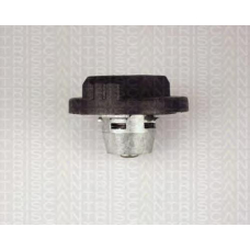 8800 2031 TRIDON Petrol cap