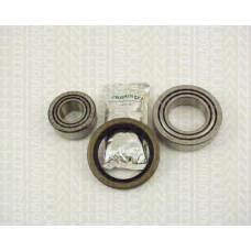 8530 23110 TRIDON Wheel bearing kit