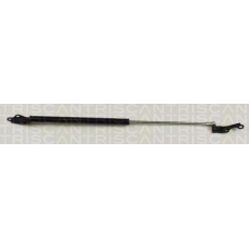 8710 13247 TRIDON Gas spring rear