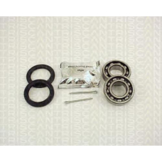 8530 27202 TRIDON Wheel bearing kit