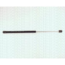 8710 16220 TRIDON Gas spring rear