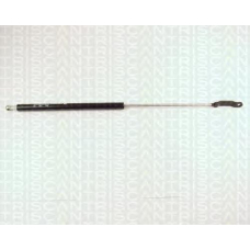 8710 2907 TRIDON Gas spring rear