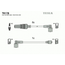 T817B TESLA Комплект проводов зажигания