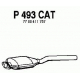 P493CAT