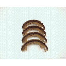 8100 50604 TRIDON Brake shoes