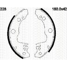 8100 10228 TRIDON Brake shoes