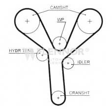 4559V FLENNOR Ремень ГРМ