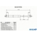 BGS10559 BUGIAD Газовая пружина, крышка багажник