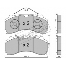 950.0 TRUSTING Комплект тормозных колодок, дисковый тормоз