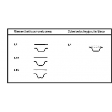 CT646 CONTITECH Conti synchrobelt®