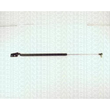 8710 13204 TRIDON Gas spring rear