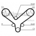 CT820 CONTITECH Ремень ГРМ