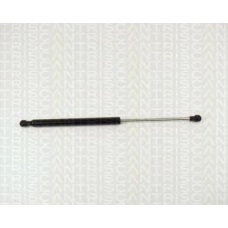 8710 12102 TRIDON Gas spring front