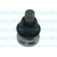 SBJ-4525<br />KAVO PARTS