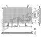 DCN51007<br />DENSO