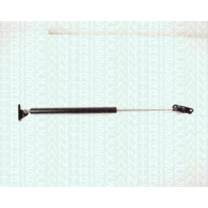 8710 13233 TRIDON Gas spring rear