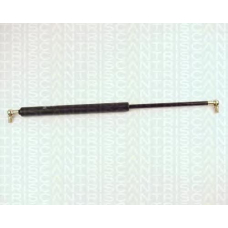 8710 7000 TRIDON Gas spring rear