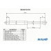 BGS10410 BUGIAD Газовая пружина, крышка багажник