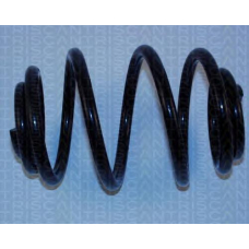 8750 2493 TRIDON Coil spring rear