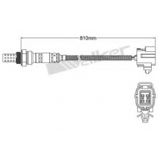 250-24128 WALKER Лямбда-зонд