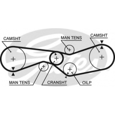 5012 GATES Ремень ГРМ