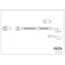 19036982 CORTECO Тормозной шланг