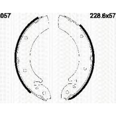 8100 16057 TRIDON Brake shoes