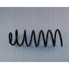 8750 24101 TRIDON Coil spring rear