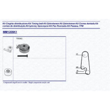341312051101 MAGNETI MARELLI Комплект ремня грм