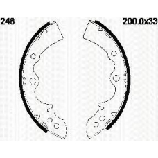 8100 50248 TRIDON Brake shoes