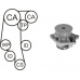 WPK-158102 AIRTEX Водяной насос + комплект зубчатого ремня