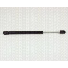 8710 25204 TRIDON Gas spring rear