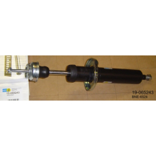 19-065243 BILSTEIN Амортизатор