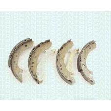 8100 16587 TRIDON Brake shoes