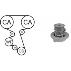 WPK-164203 AIRTEX Водяной насос + комплект зубчатого ремня