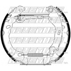 6431 TRUSTING Комплект тормозных колодок