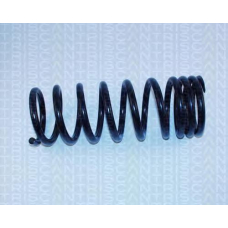 8750 2315 TRIDON Coil spring rear