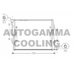 104245<br />AUTOGAMMA