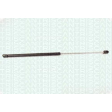 8710 16209 TRIDON Gas spring rear