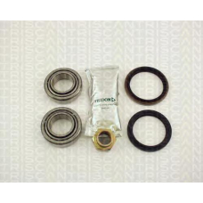 8530 16107 TRIDON Wheel bearing kit