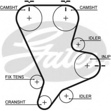 5554XS GATES Ремень ГРМ